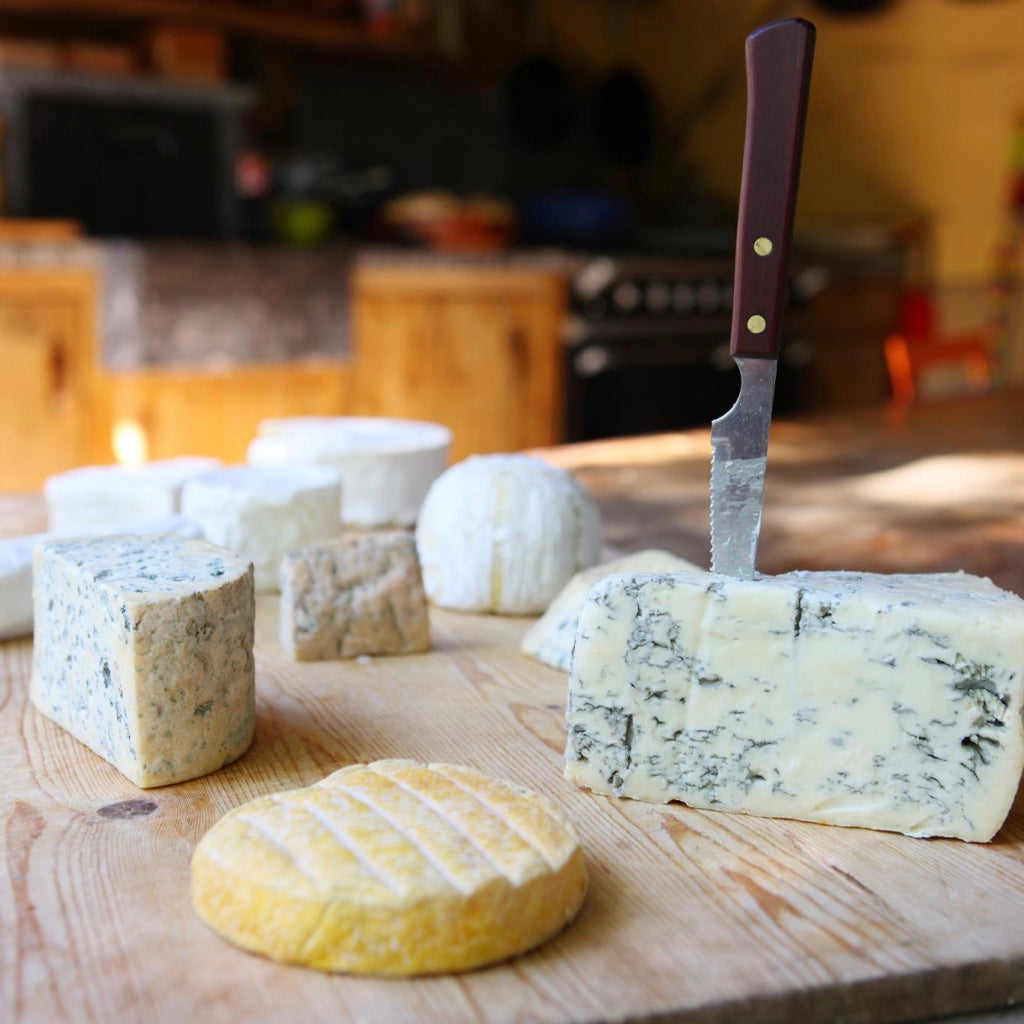 Wine Pairing Classes Vino Venue